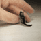 miniature cat ooak