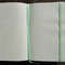 mint-notebook-with-checkered-pages.JPG