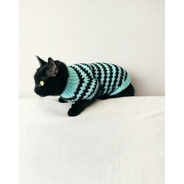 sweater-for-cats.jpeg