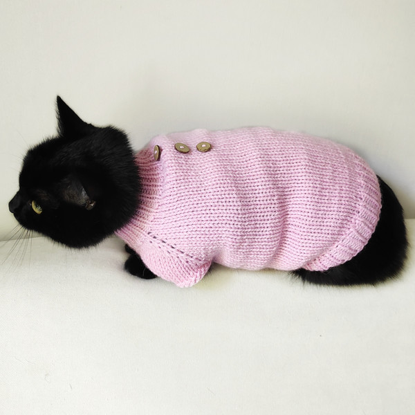 Sweater for cat pet small dog Knit cat clothes Warm pet clot - Inspire ...