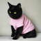 cat-sweaters.jpeg