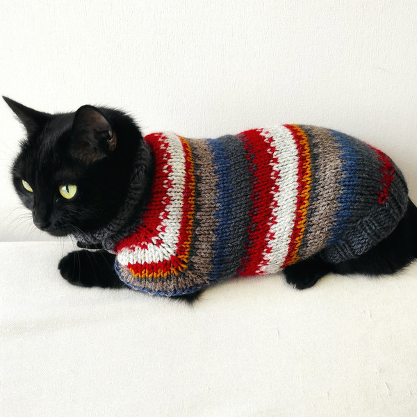 sweater-for-cats.jpeg