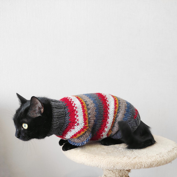 cat-sweater.jpeg