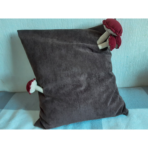 Amanita-pillow- cover 2.jpg