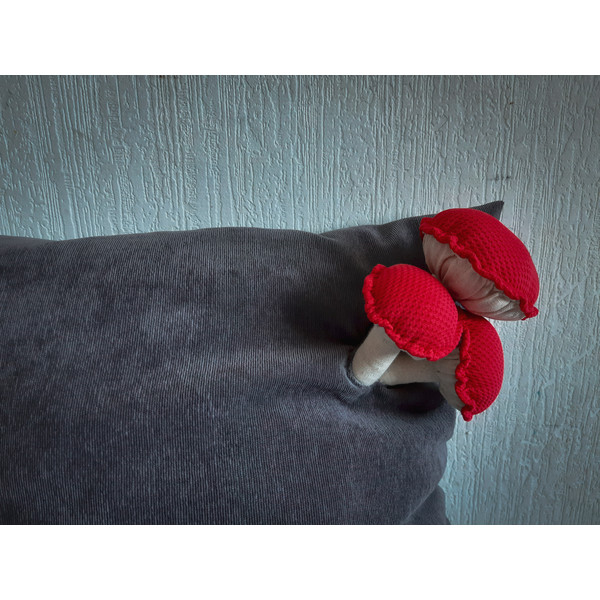 Amanita-pillow- cover 4.jpg