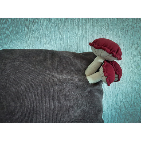 Amanita-pillow- cover 6.jpg
