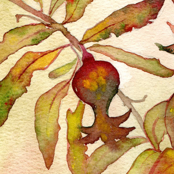 Pomegranate-watercolor-painting-original-art-botanic-2.jpg