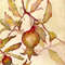 Pomegranate-watercolor-painting-original-art-botanic-3.jpg