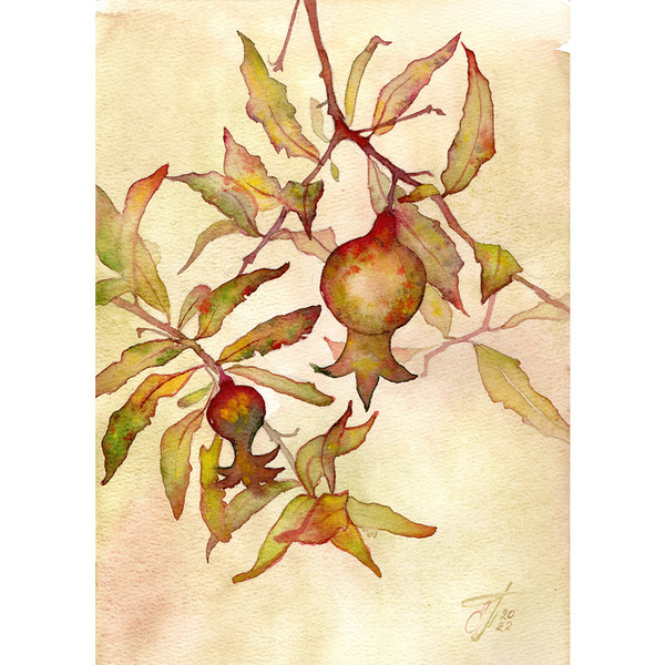 Pomegranate-watercolor-painting-original-art-botanic-4.jpg