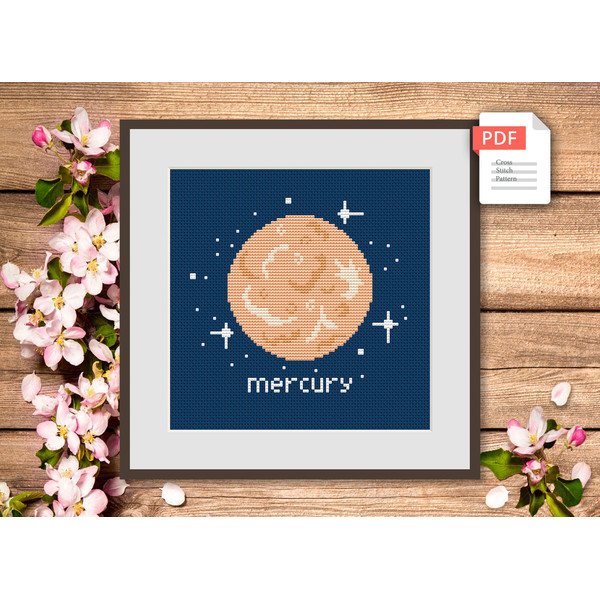 spc001-Mercury-A2.jpg