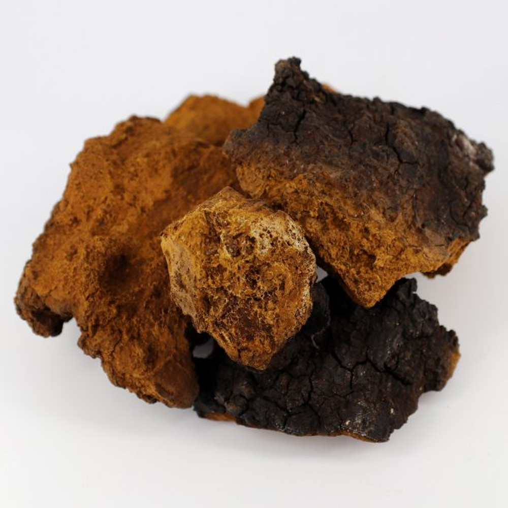 chaga_kuskovaya-600x600.jpg
