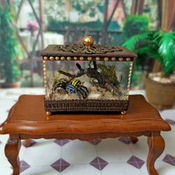 Terrarium. Spider Cage. Puppet Miniature.1:12 Scale.
