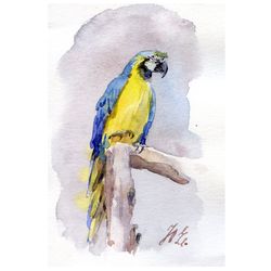 Parrot in watercolor Small original painting Watercolor postcard by Yulia Evsyukova