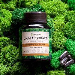 Chaga (birch mushroom) extract 60 caps