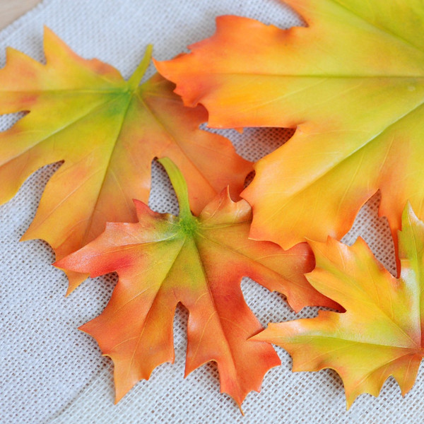 Autumn maple leaves.jpg