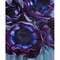 Purple Anemonies bouquet large oil painting 1.jpg