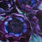 Purple Anemonies large oil painting.jpg