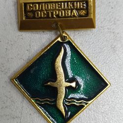 clothing accessories, clothing brooch, unique brooch, beautiful clothing accessories, unique badge