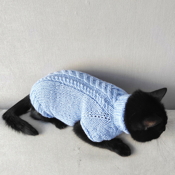 cat-sweater.jpeg