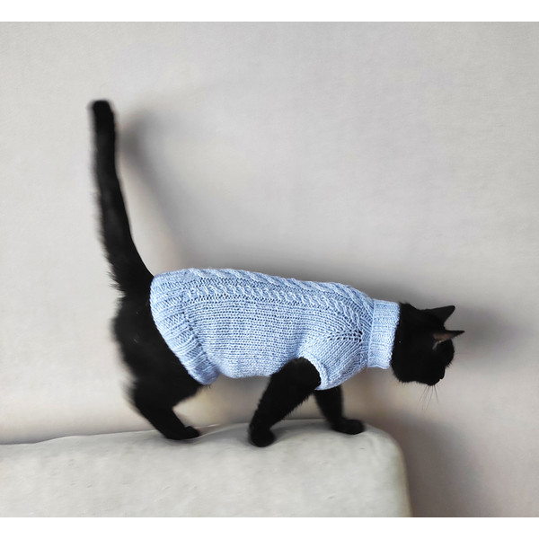 cats-sweaters.jpeg