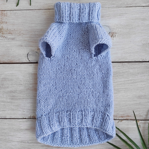 turtleneck-cat-sweater.jpeg