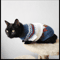 cat-sweater-for-cats.png