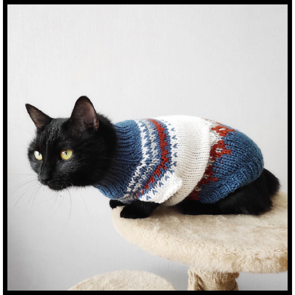 cat-sweater-for-cats.png