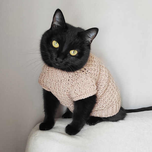 Black and sales white cat sweater