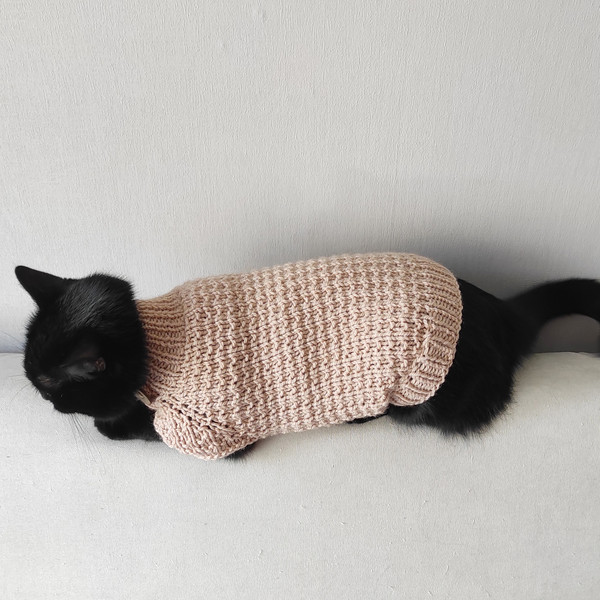 sweater-for-pets.jpeg
