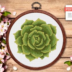 The Succulent Cross Stitch Pattern, Flower Cross Stitch Pattern, Embroidery Succulent, Flowers xStitch