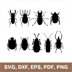 Bug svg, beetle svg, bugs svg, beetles svg, bug dxf, beetle dxf, bug template, beetle template, bug cutout, SVG, DXF