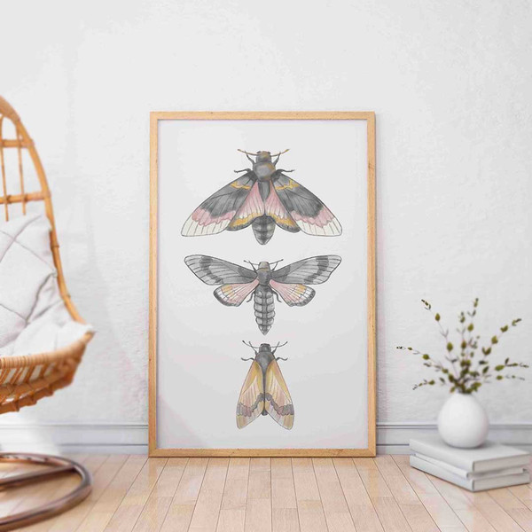 moths poster-wall decor nursery watercolor clipart.jpg