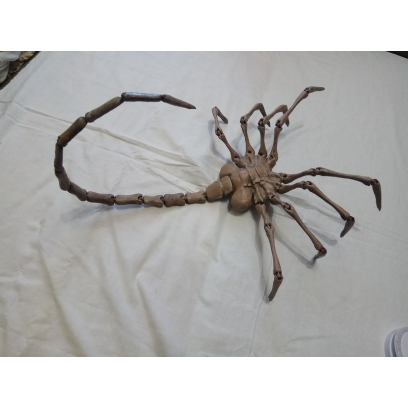 facehugger1.jpg