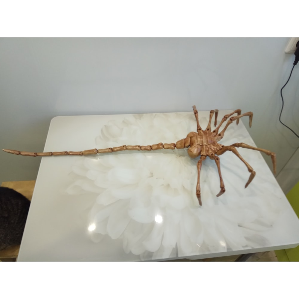 facehugger4.jpg