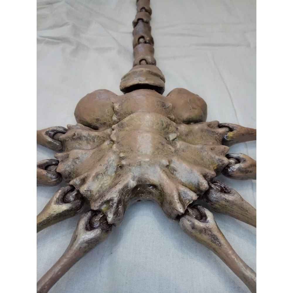 facehugger8.jpg