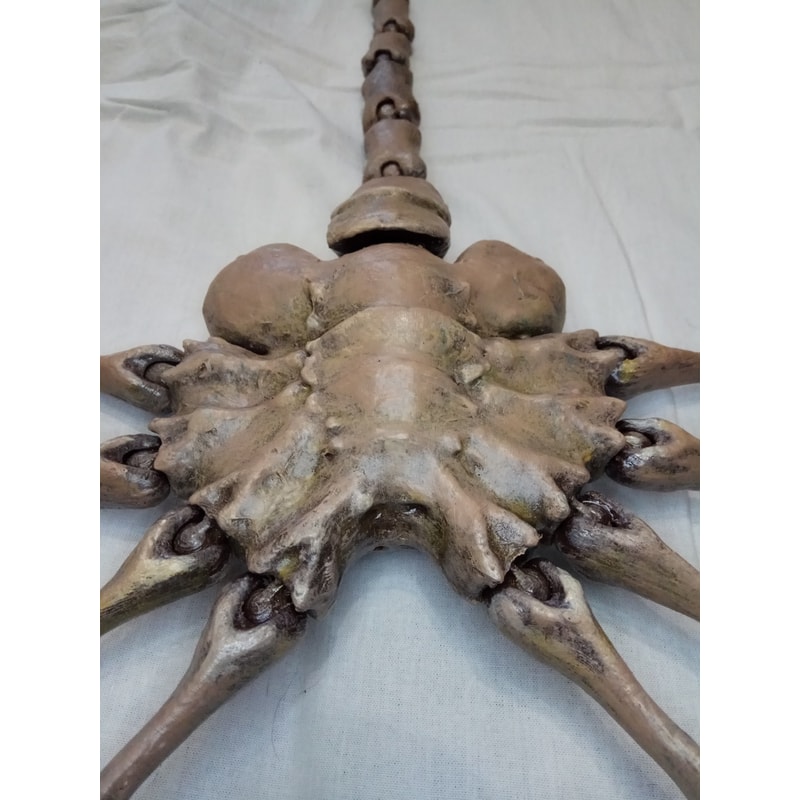 facehugger8.jpg