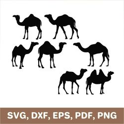 Camel svg, camels svg, camel template, camel dxf, camel png, camels png, camel cutout, camel cut file, camel printable