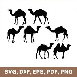 camel svg, camels svg, camel template, camel dxf, camel png, camels png, camel cutout, camel cut file, camel printable