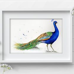 Original watercolor aquarelle peacock painting 8x11 inches bird art by Anne Gorywine