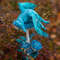 Blue-butterfly-dragon-10.jpg