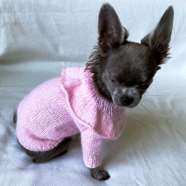 sweater-for-small-dog.jpeg