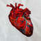 atomocal heart.jpg