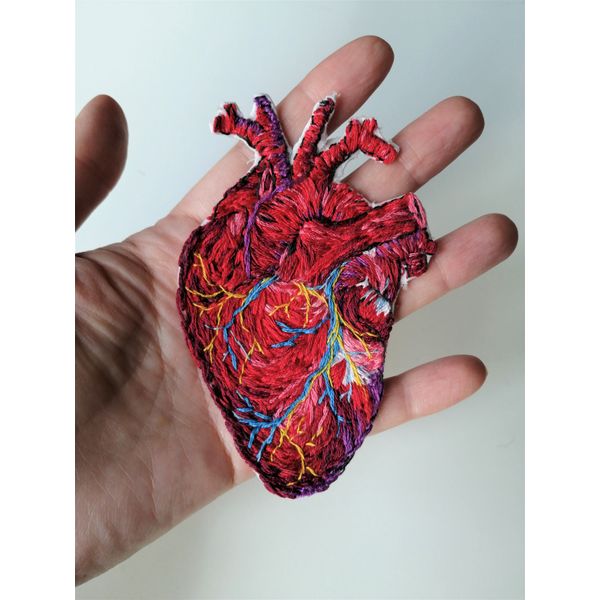 human heart.jpg