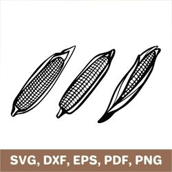 Corn svg, corn dxf, corn png, corn cob svg, corn cob png, corn template, corn cutout, corn die cut, corn pdf, Cricut