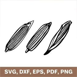 corn svg, corn dxf, corn png, corn cob svg, corn cob png, corn template, corn cutout, corn die cut, corn pdf, cricut