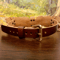 oak-leaves-leather-sub-collar-with-buckle-back-view.jpg