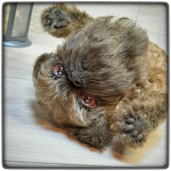 Griffin Puppy-Stuffed Toy-Dog-Collectible Toy-Realistic Dog 6.jpeg