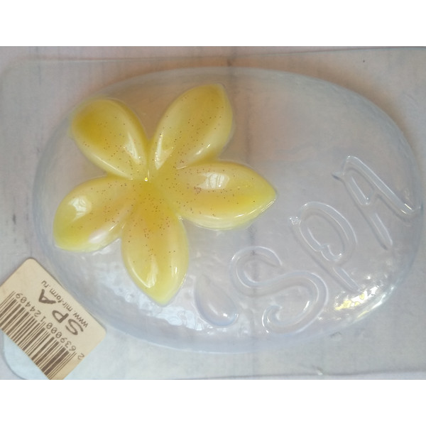 Spa-mold-with-flowers-for-soap-and-bath-bomb-6.jpg