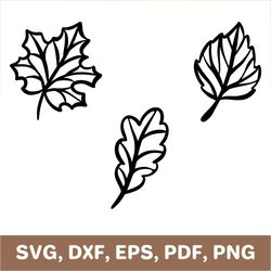 Fall leaves svg, autumn leaves svg, fall leaves dxf, autumn leaves dxf, fall leaves png, autumn leaves png, Cricut, SVG