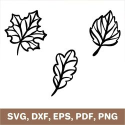 fall leaves svg, autumn leaves svg, fall leaves dxf, autumn leaves dxf, fall leaves png, autumn leaves png, cricut, svg